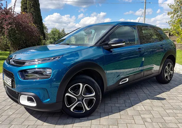 citroen grybów Citroen C4 Cactus cena 47900 przebieg: 77226, rok produkcji 2018 z Grybów